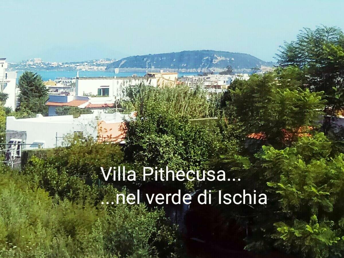 Villa Pithecusa Ischia Exteriör bild